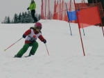 14.02.2014 SportshopCup Alpbach (27)