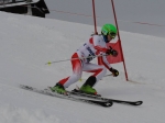 14.02.2014 SportshopCup Alpbach (6)