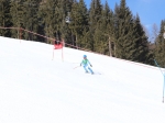 185-2020-02-15_10-54-22-IMG_4207